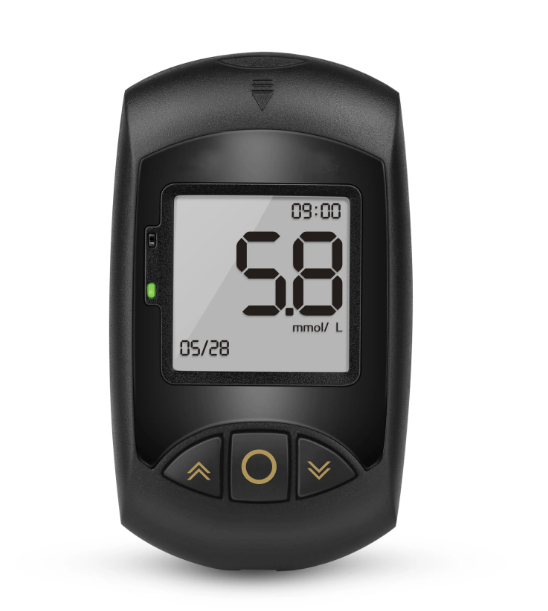 Blood glucose meter 